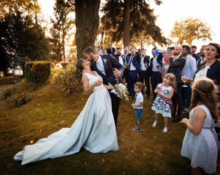 Wedding