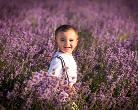 lavanda-12